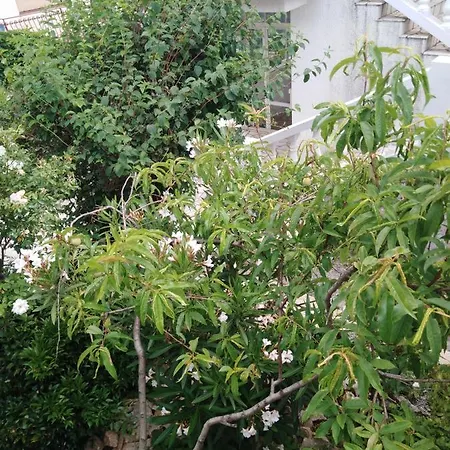 Marijana Apartamento
